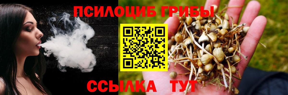 Рассказово  Псилоцибиновые грибы Psilocybe  Псилоцибиновые грибы MAGIC MUSHROOMS  Вход с VPN 